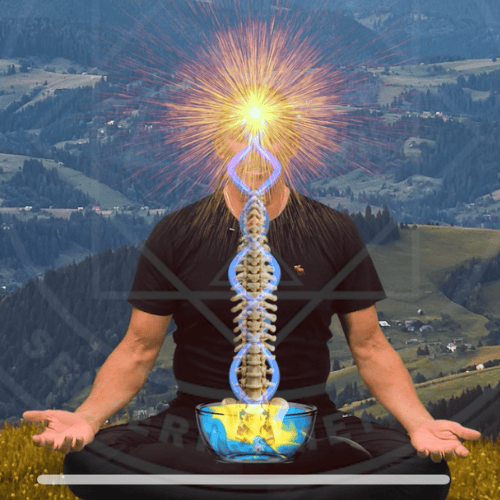 Brain & Organ Activation