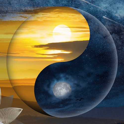 Energy Balance of the Male & Female Body (Yin-Yang)